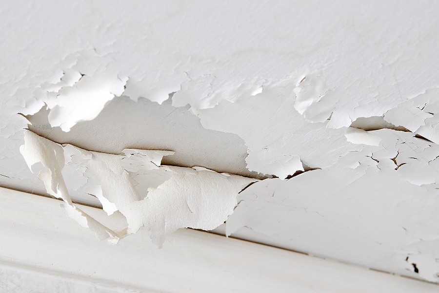 Preventive Water Damage Fixes Every Homeowner Should Know